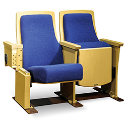 image Seats with foldable armrests 1